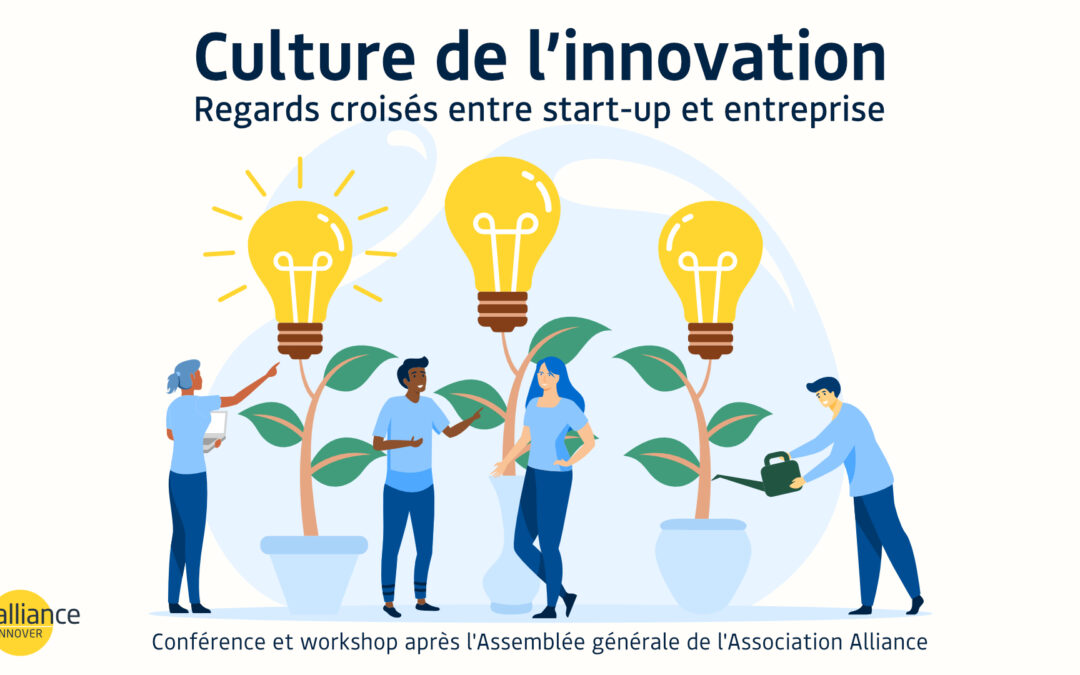 Innovation culture: a cross-section of start-ups and companies